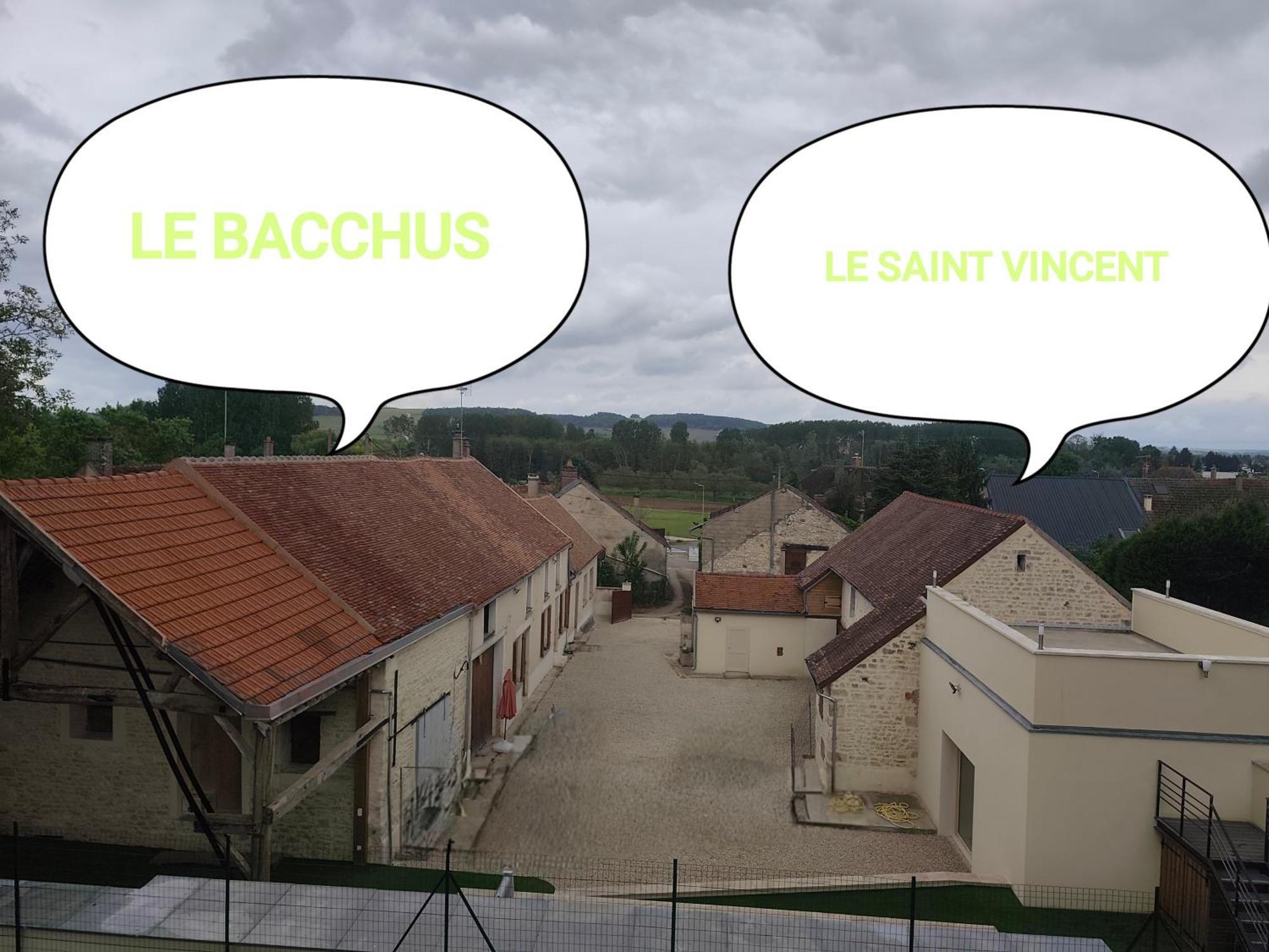 Le Bacchus Villa Chablis Bagian luar foto